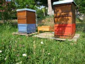 Bienenstand Ernstroda